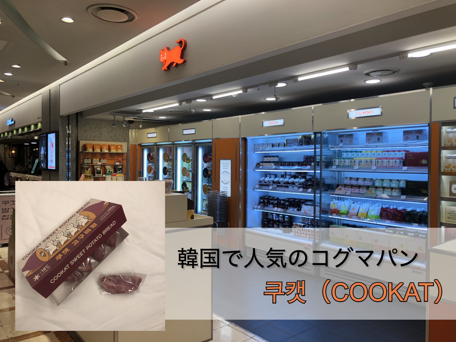 韓国で人気「쿠캣(cookat market)」のコグマパン（ソウルで買えるお店！）